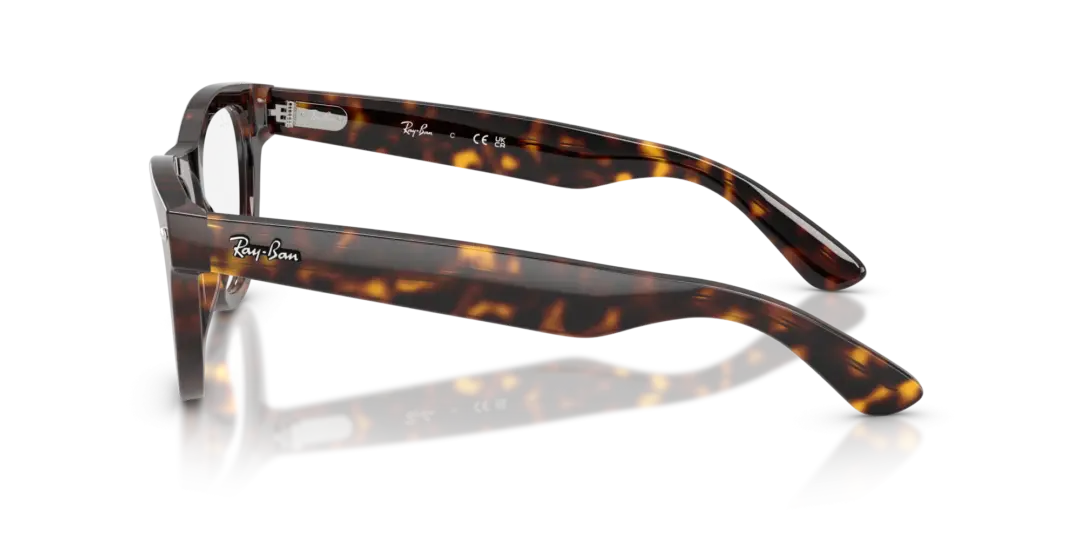 Ray-Ban Optical 0RX5510 2012