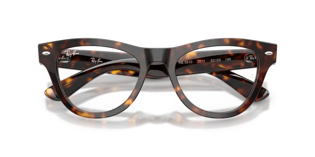 Ray-Ban Optical 0RX5510 2012