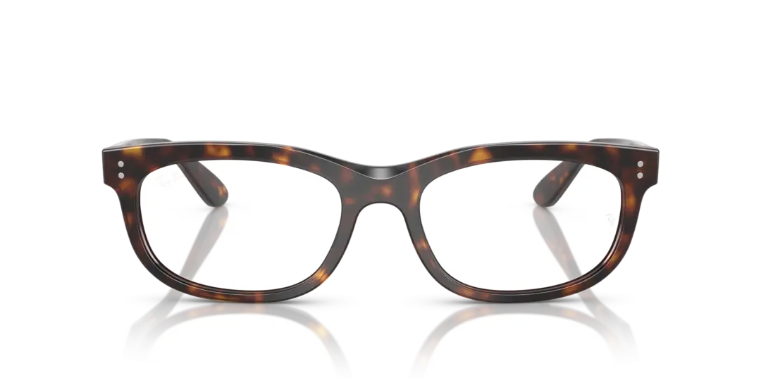 Ray-Ban Optical Balorette 0RX5489F 2012