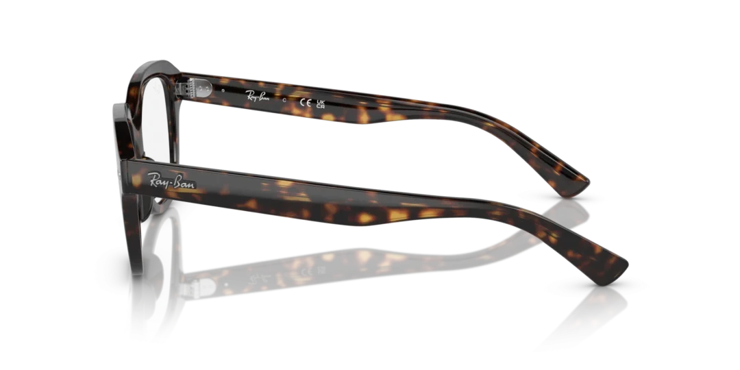 Ray-Ban Optical Erik 0RX7215F 2012