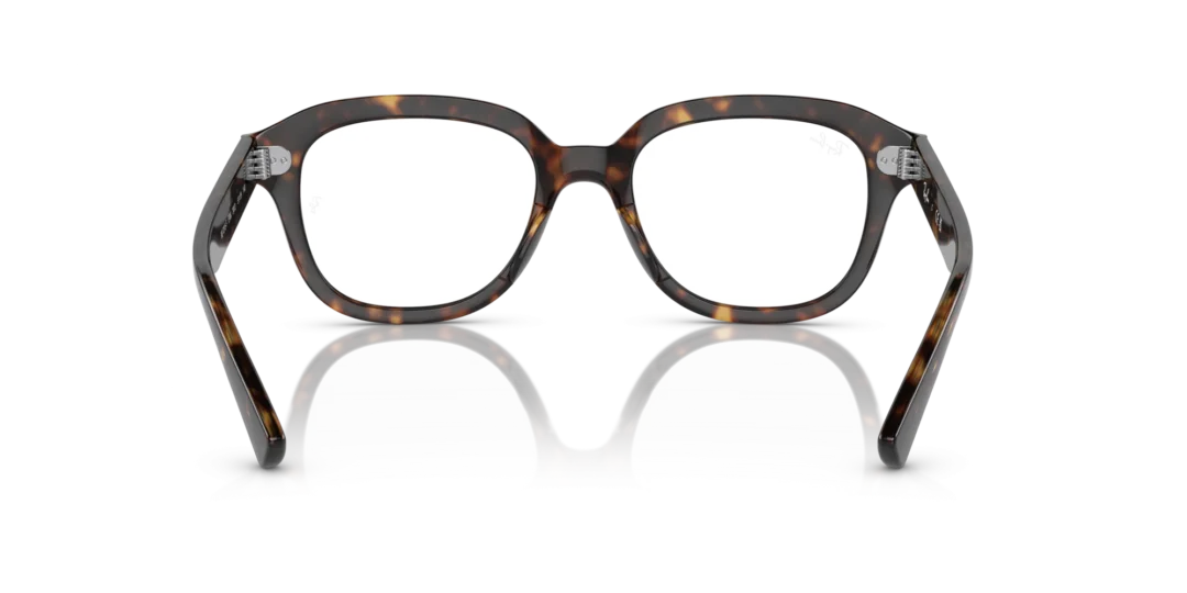 Ray-Ban Optical Erik 0RX7215F 2012