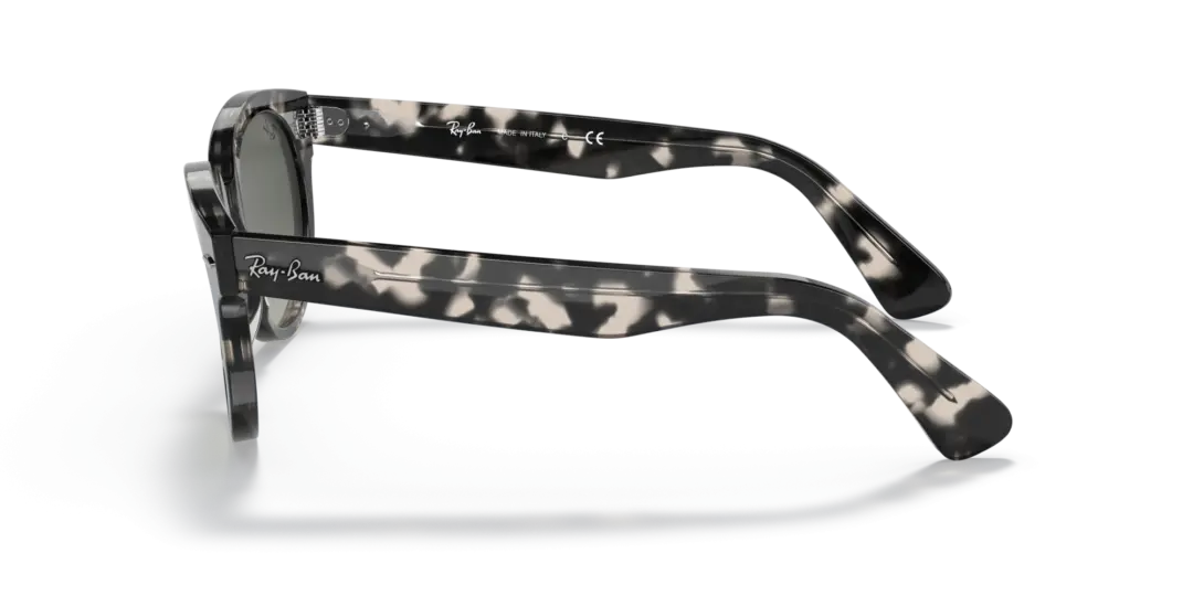 Ray-Ban Orion 0RB2199 133371