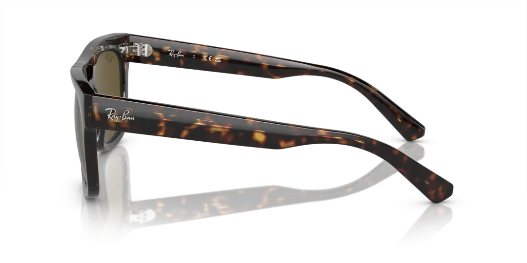 Ray-Ban Phil 0RB4426 135973