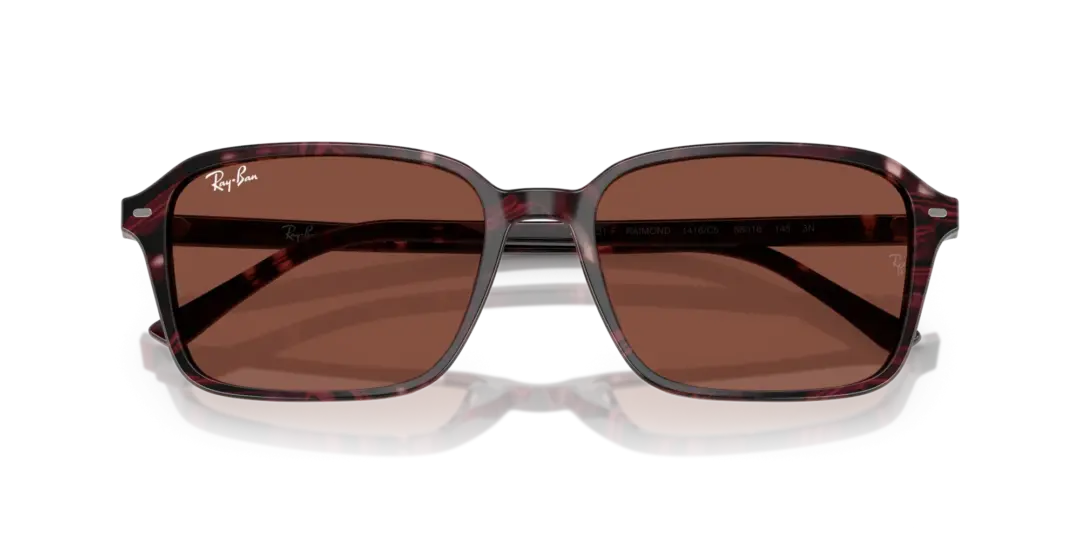 Ray-Ban Raimond 0RB2231F 1416C5