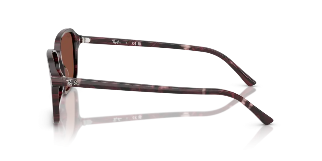 Ray-Ban Raimond 0RB2231F 1416C5