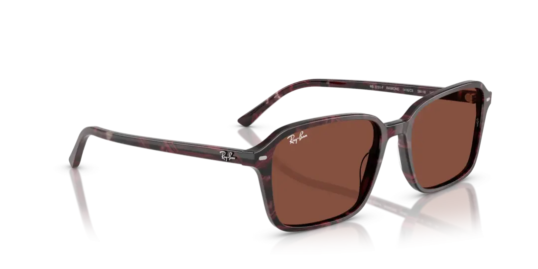 Ray-Ban Raimond 0RB2231F 1416C5