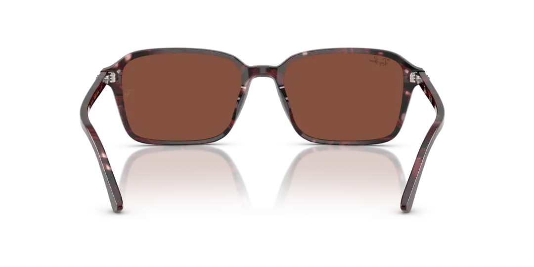 Ray-Ban Raimond 0RB2231F 1416C5