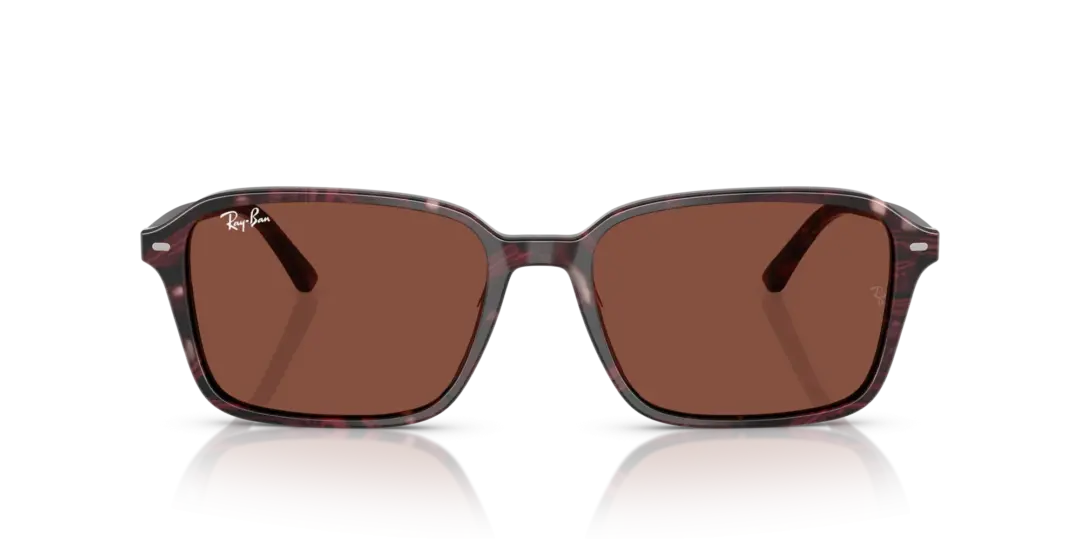 Ray-Ban Raimond 0RB2231F 1416C5