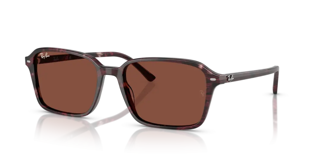 Ray-Ban Raimond 0RB2231F 1416C5