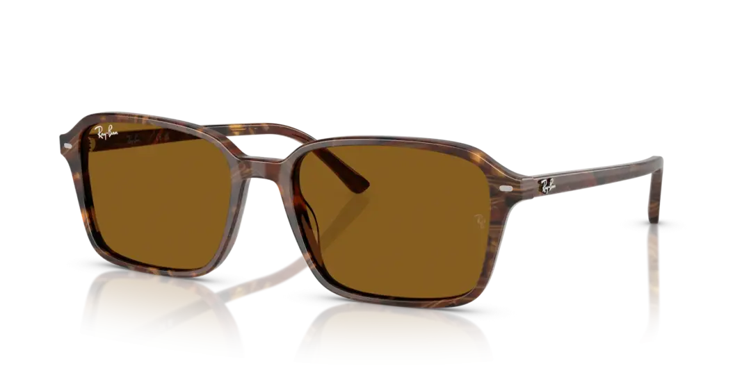 Ray-Ban Raimond 0RB2231F 141833