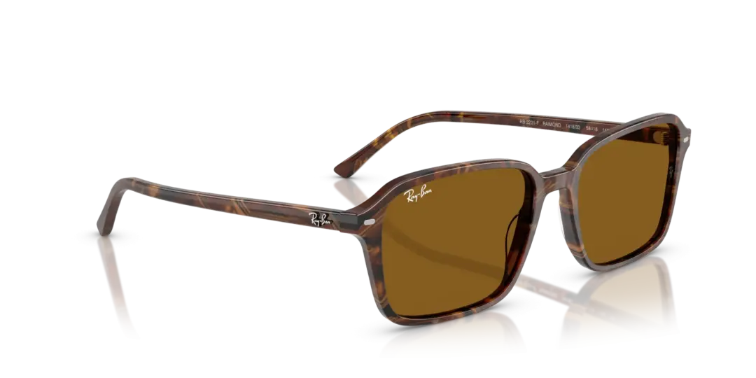Ray-Ban Raimond 0RB2231F 141833