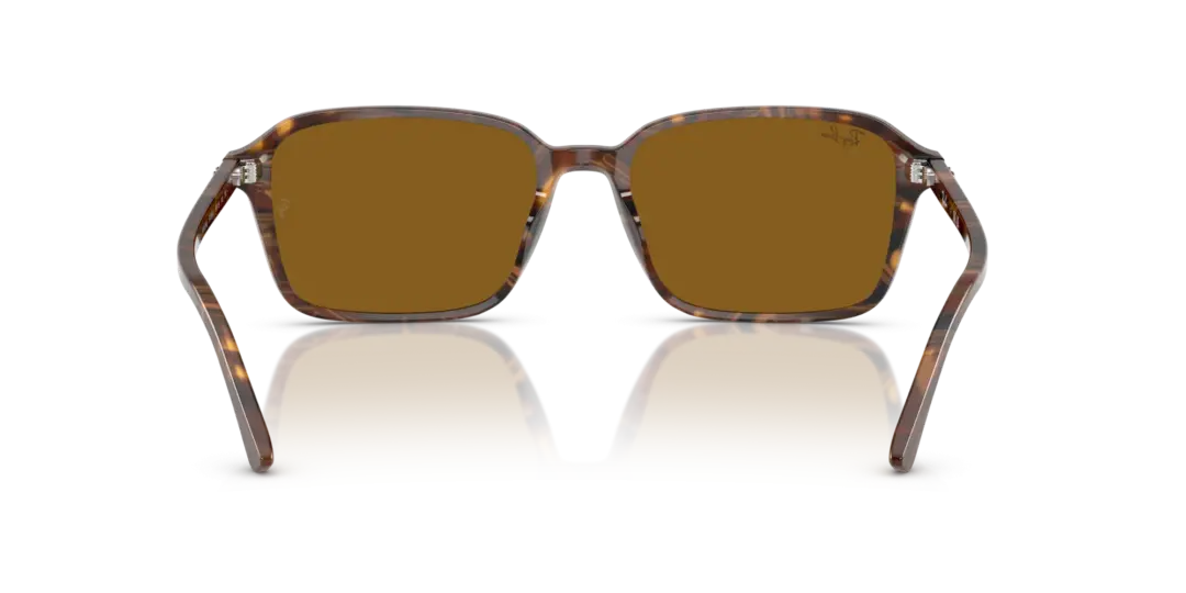 Ray-Ban Raimond 0RB2231F 141833