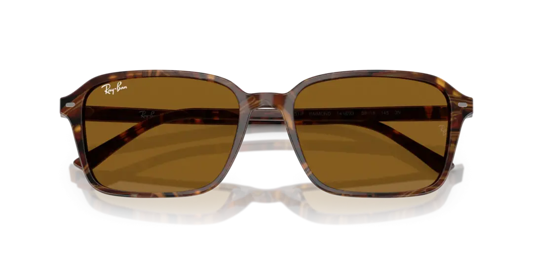 Ray-Ban Raimond 0RB2231F 141833
