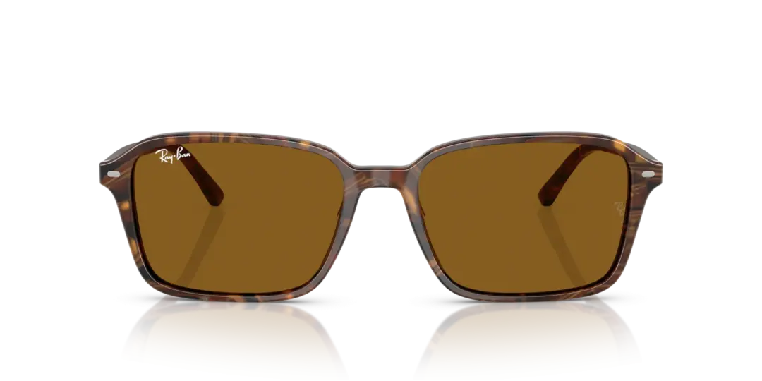 Ray-Ban Raimond 0RB2231F 141833