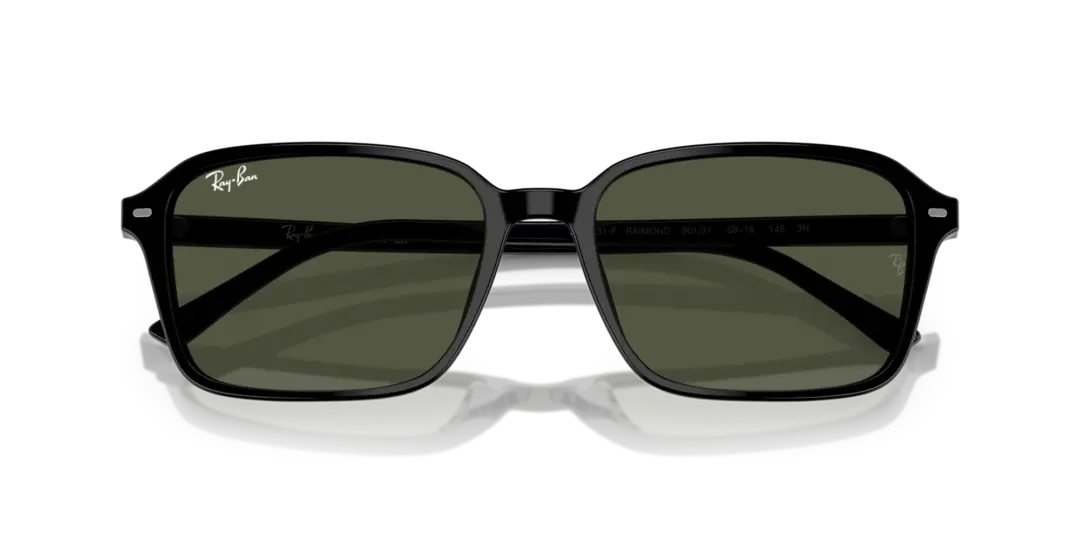 Ray-Ban Raimond 0RB2231F 901/31