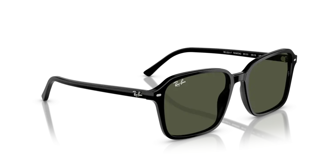 Ray-Ban Raimond 0RB2231F 901/31