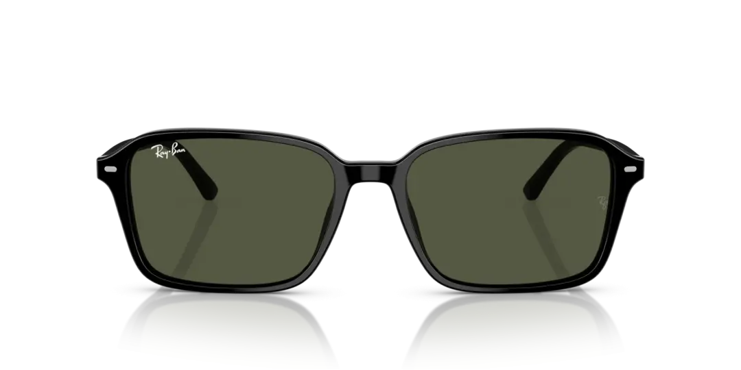 Ray-Ban Raimond 0RB2231F 901/31