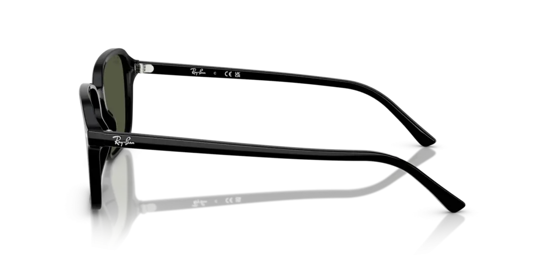 Ray-Ban Raimond 0RB2231F 901/31