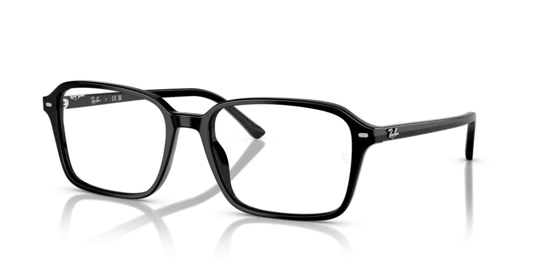 Ray-Ban Raimond 0RB2231F 901/GG