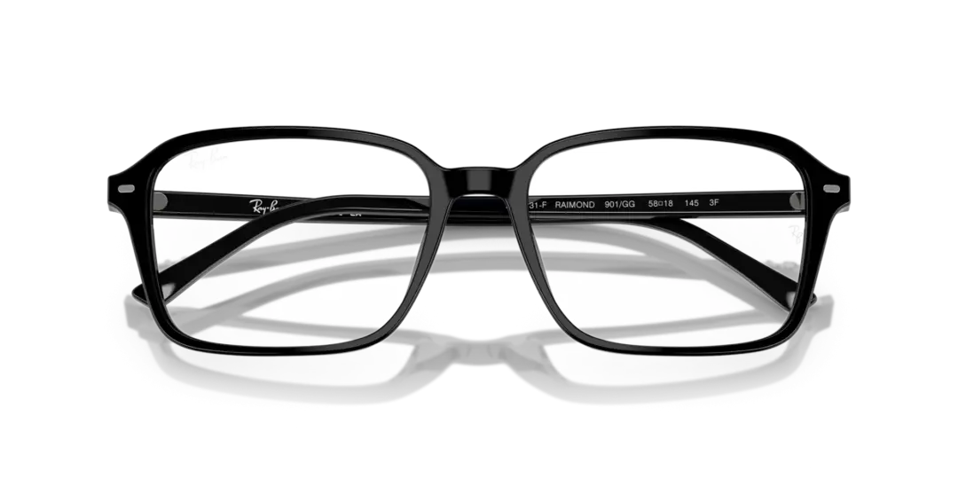 Ray-Ban Raimond 0RB2231F 901/GG