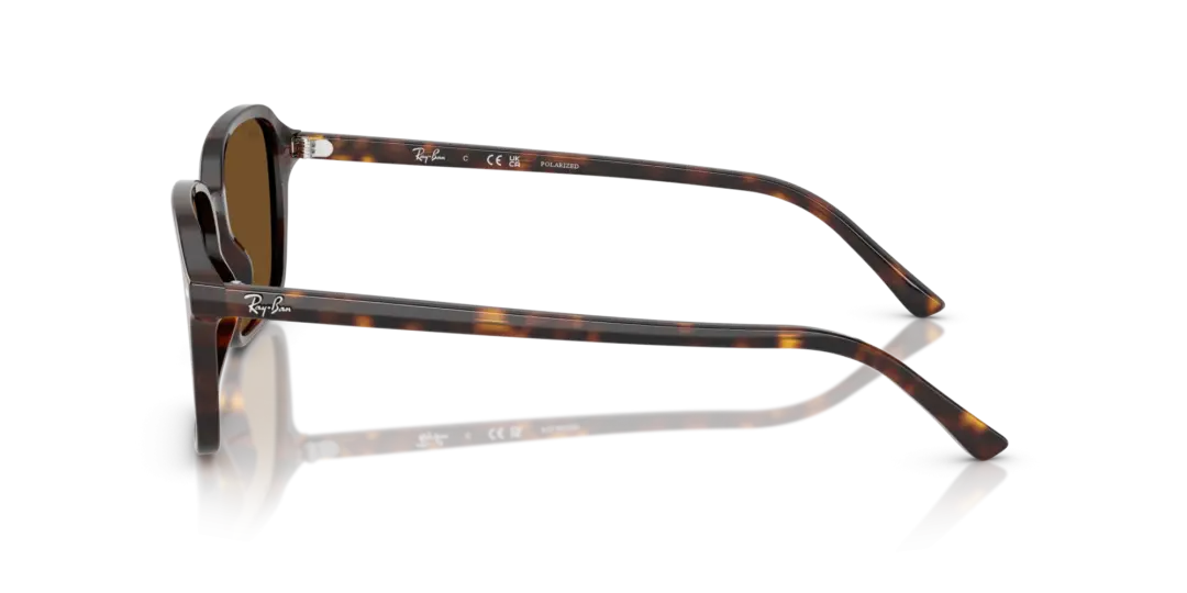 Ray-Ban Raimond 0RB2231F 902/57