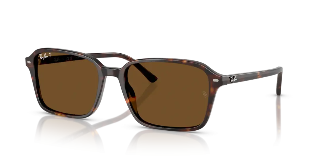 Ray-Ban Raimond 0RB2231F 902/57