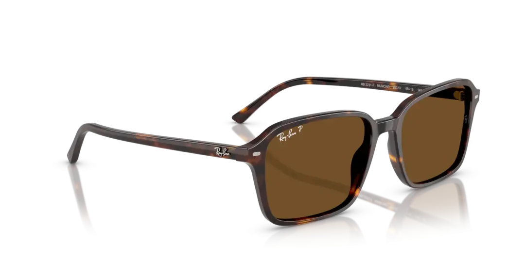 Ray-Ban Raimond 0RB2231F 902/57