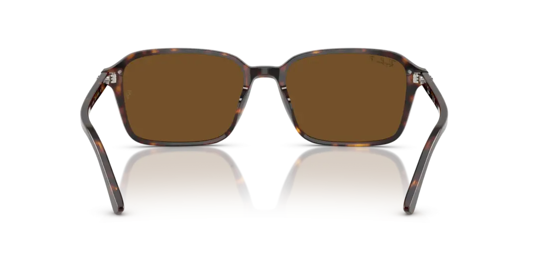 Ray-Ban Raimond 0RB2231F 902/57