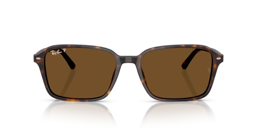 Ray-Ban Raimond 0RB2231F 902/57