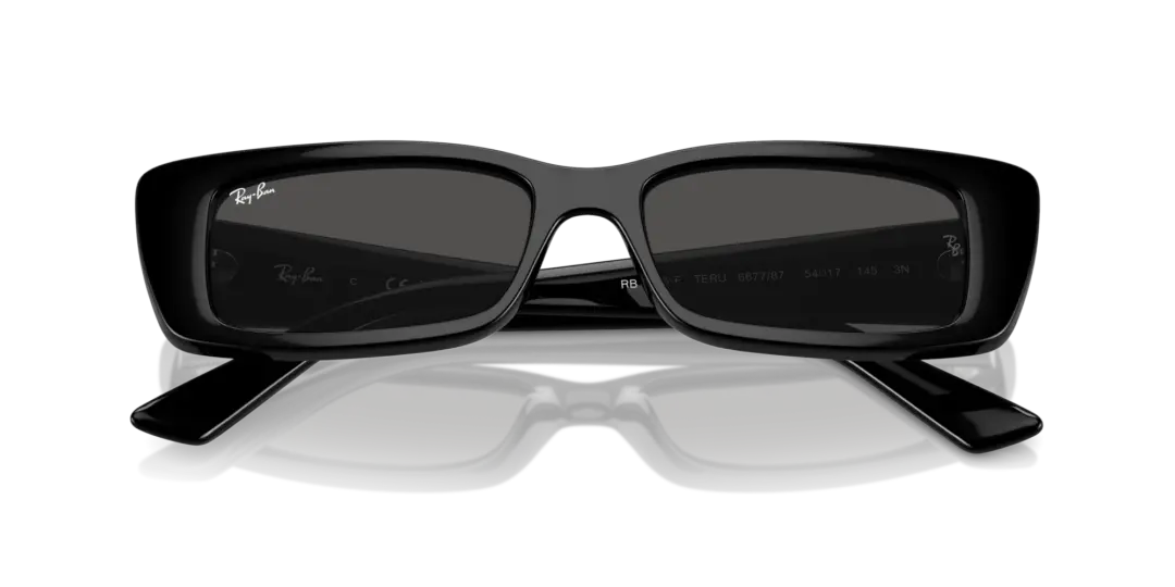 Ray-Ban Teru 0RB4425F 667787