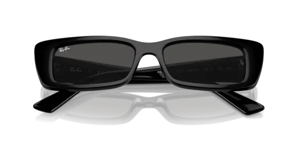 Ray-Ban Teru 0RB4425F 667787