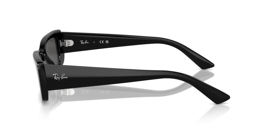 Ray-Ban Teru 0RB4425F 667787