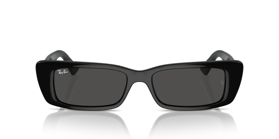 Ray-Ban Teru 0RB4425F 667787