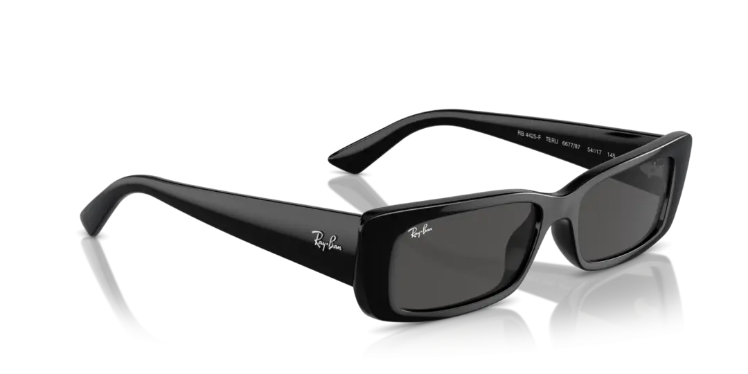 Ray-Ban Teru 0RB4425F 667787