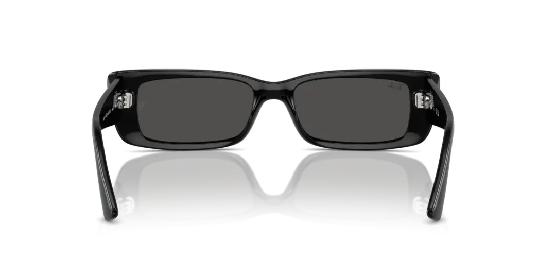 Ray-Ban Teru 0RB4425F 667787