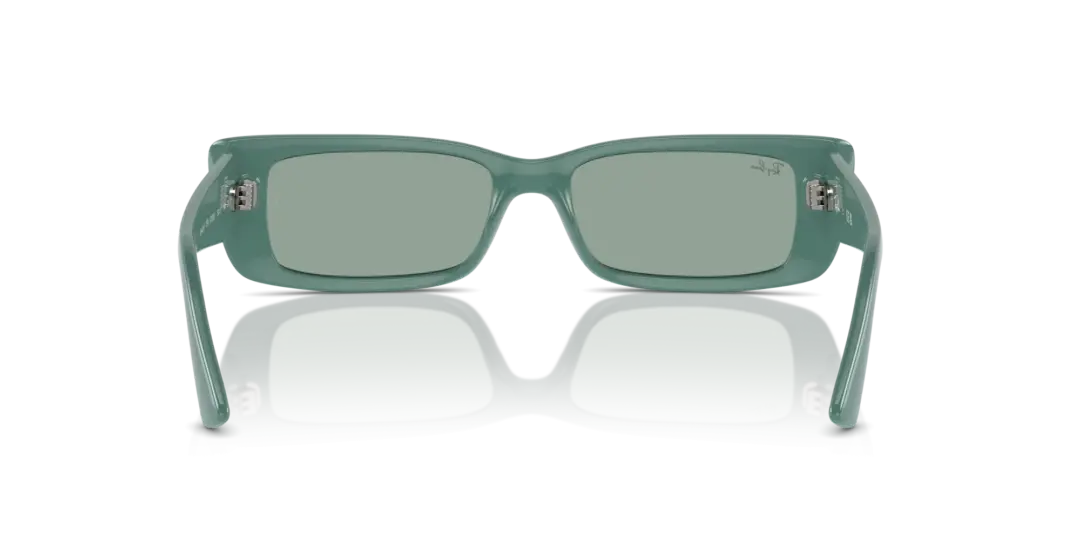 Ray-Ban Teru 0RB4425F 676282