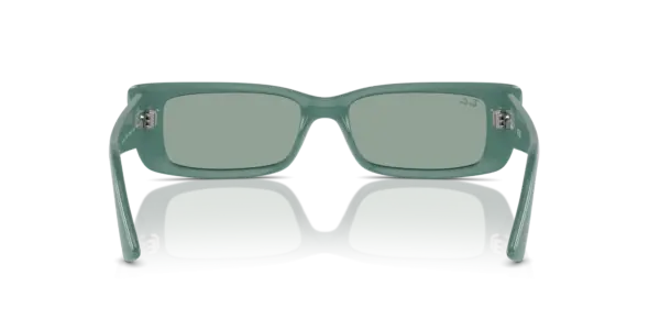 Ray-Ban Teru 0RB4425F 676282