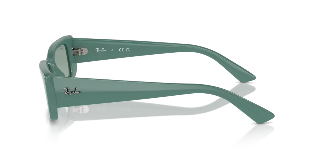 Ray-Ban Teru 0RB4425F 676282