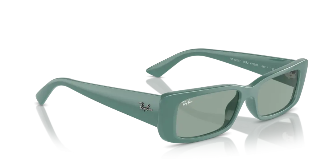 Ray-Ban Teru 0RB4425F 676282