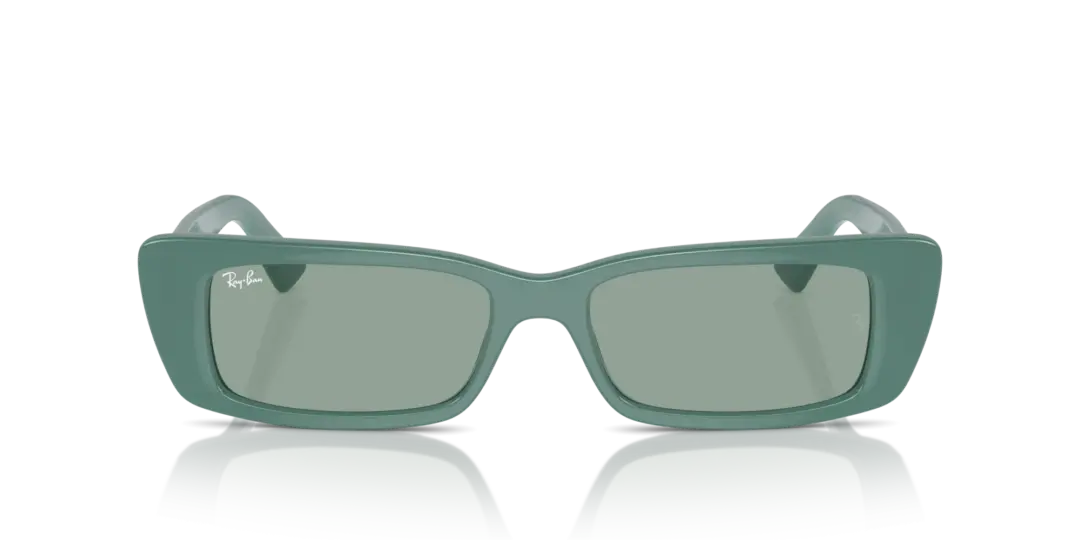 Ray-Ban Teru 0RB4425F 676282