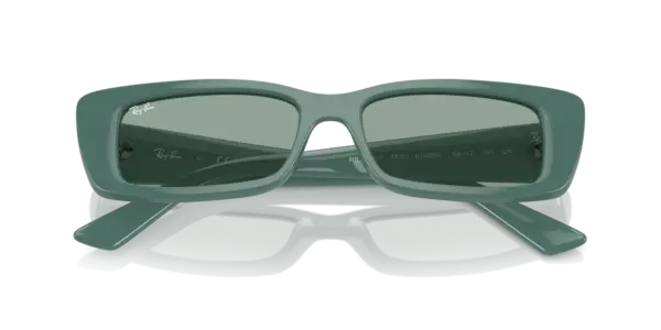 Ray-Ban Teru 0RB4425F 676282