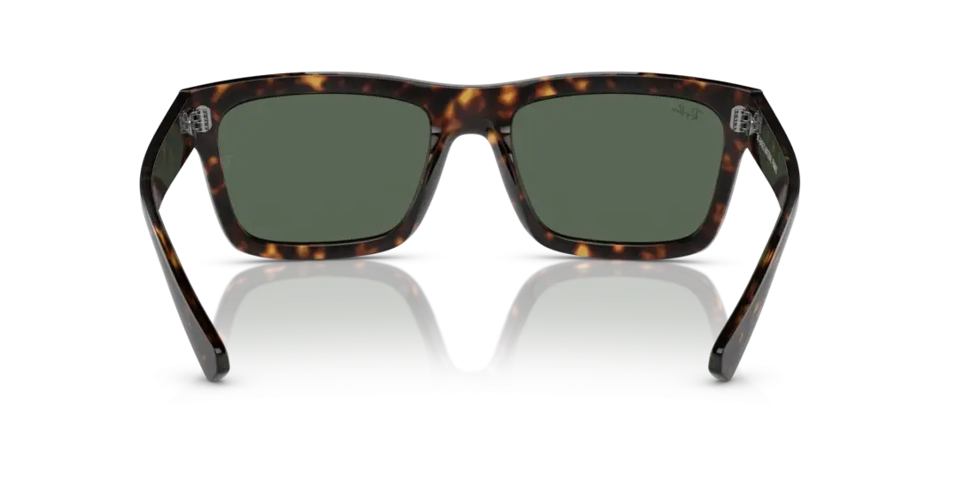 Ray-Ban Warren 0RB4396F 135971