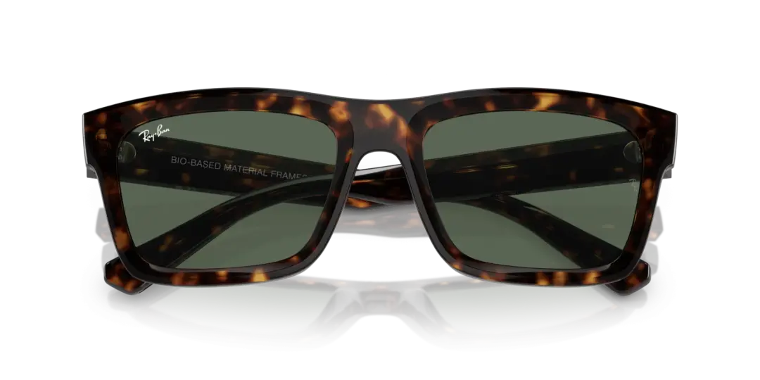 Ray-Ban Warren 0RB4396F 135971