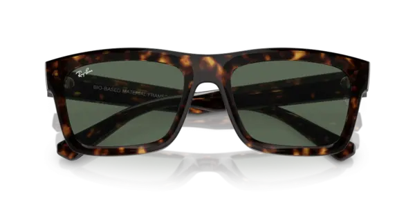 Ray-Ban Warren 0RB4396F 135971