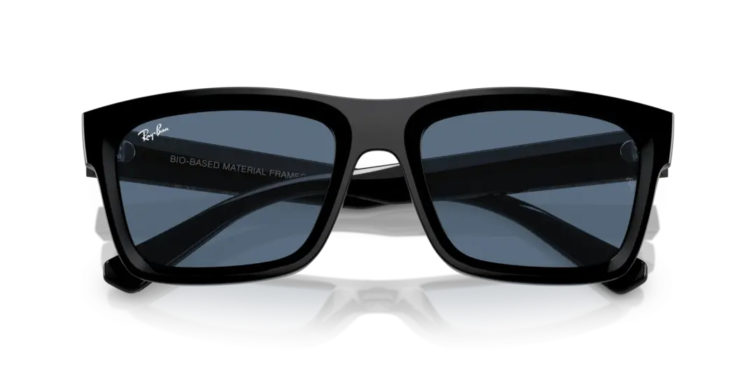 Ray-Ban Warren 0RB4396F 667780