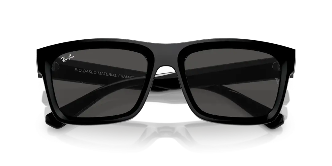 Ray-Ban Warren 0RB4396F 667787