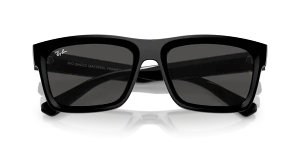 Ray-Ban Warren 0RB4396F 667787
