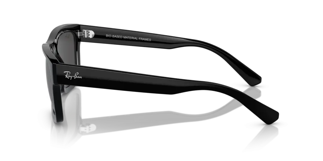 Ray-Ban Warren 0RB4396F 667787