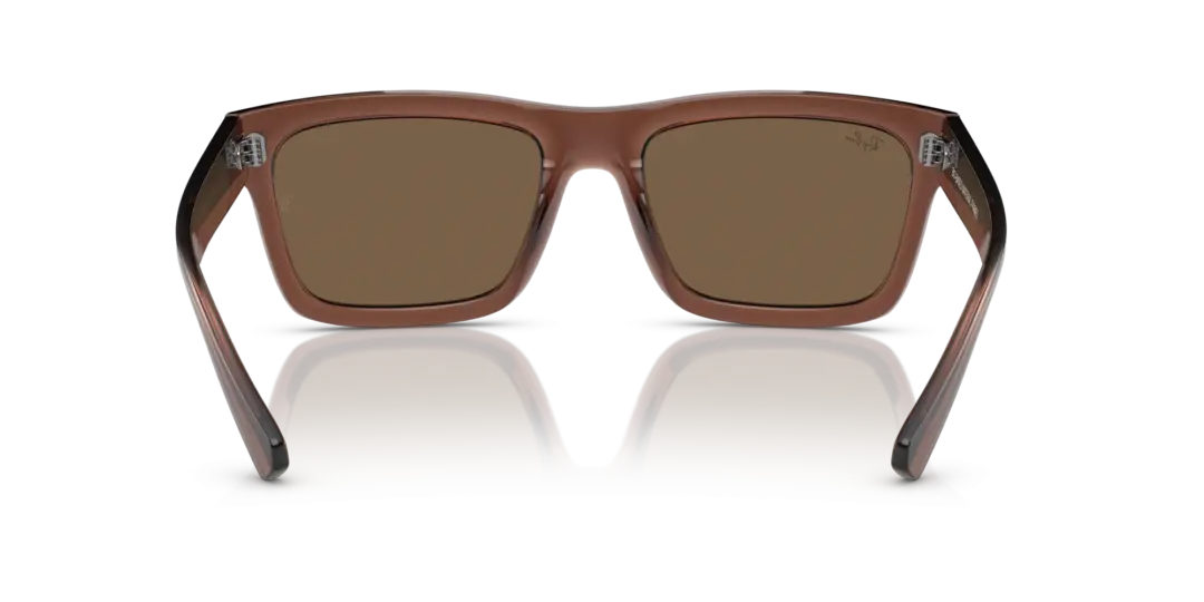 Ray-Ban Warren 0RB4396F 667873