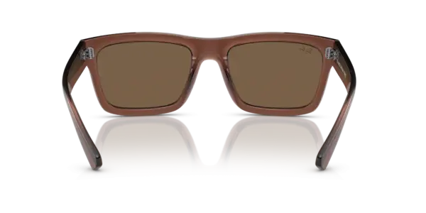 Ray-Ban Warren 0RB4396F 667873